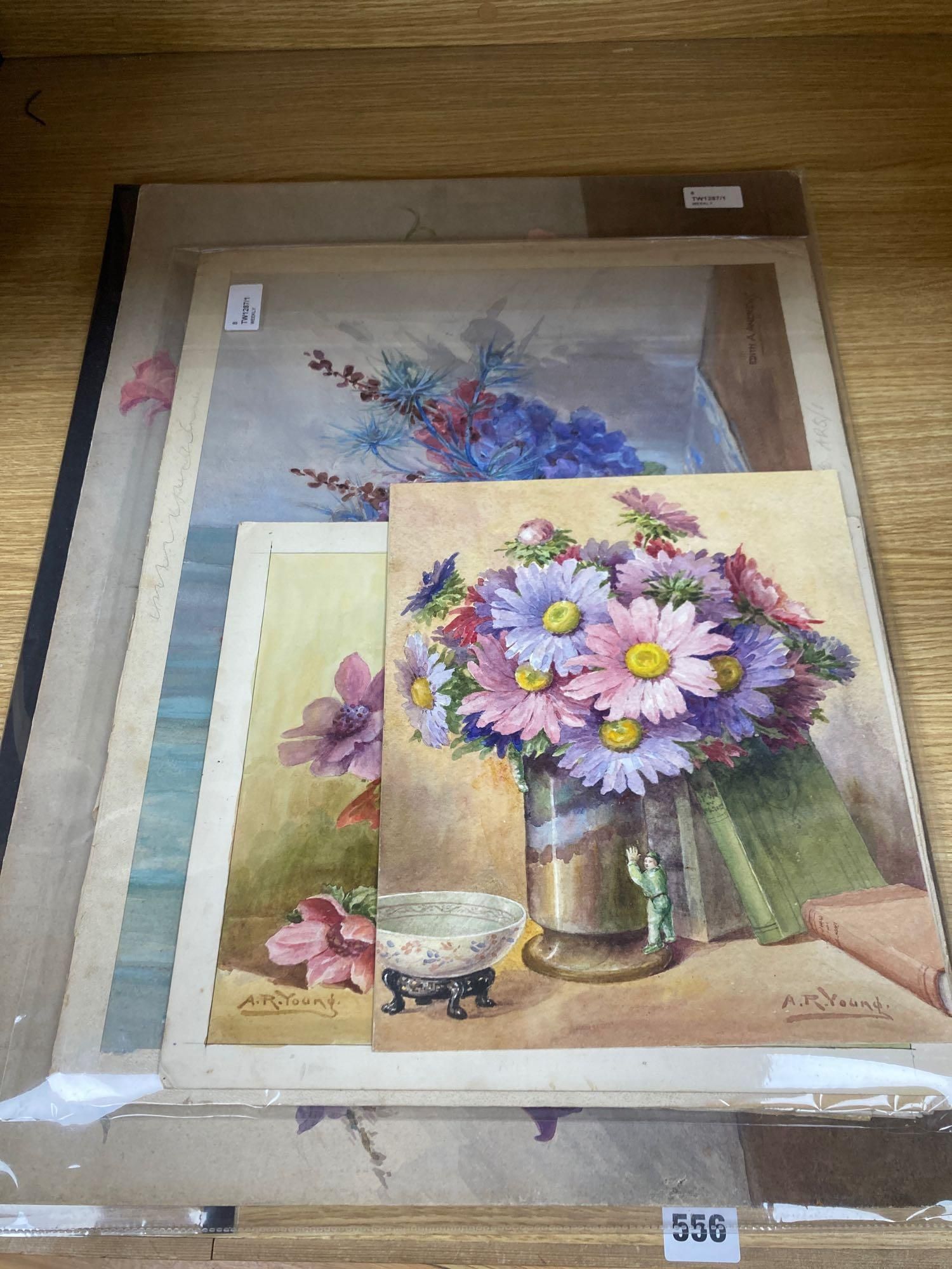 Edith Alice Andrews (1873-1958), a group of six watercolours of flowers, 31.5 x 25.5cm to 45 x 62cm